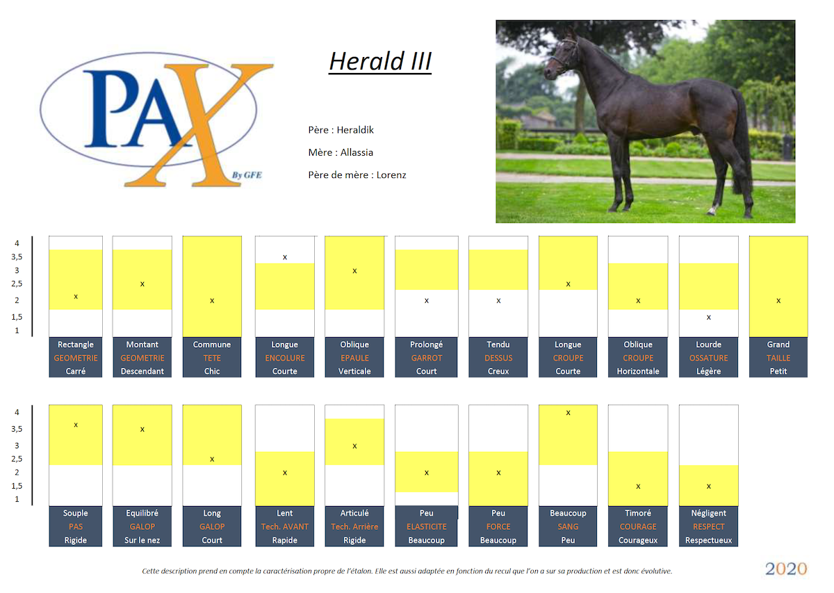 HERALD III GFE Holsteiner